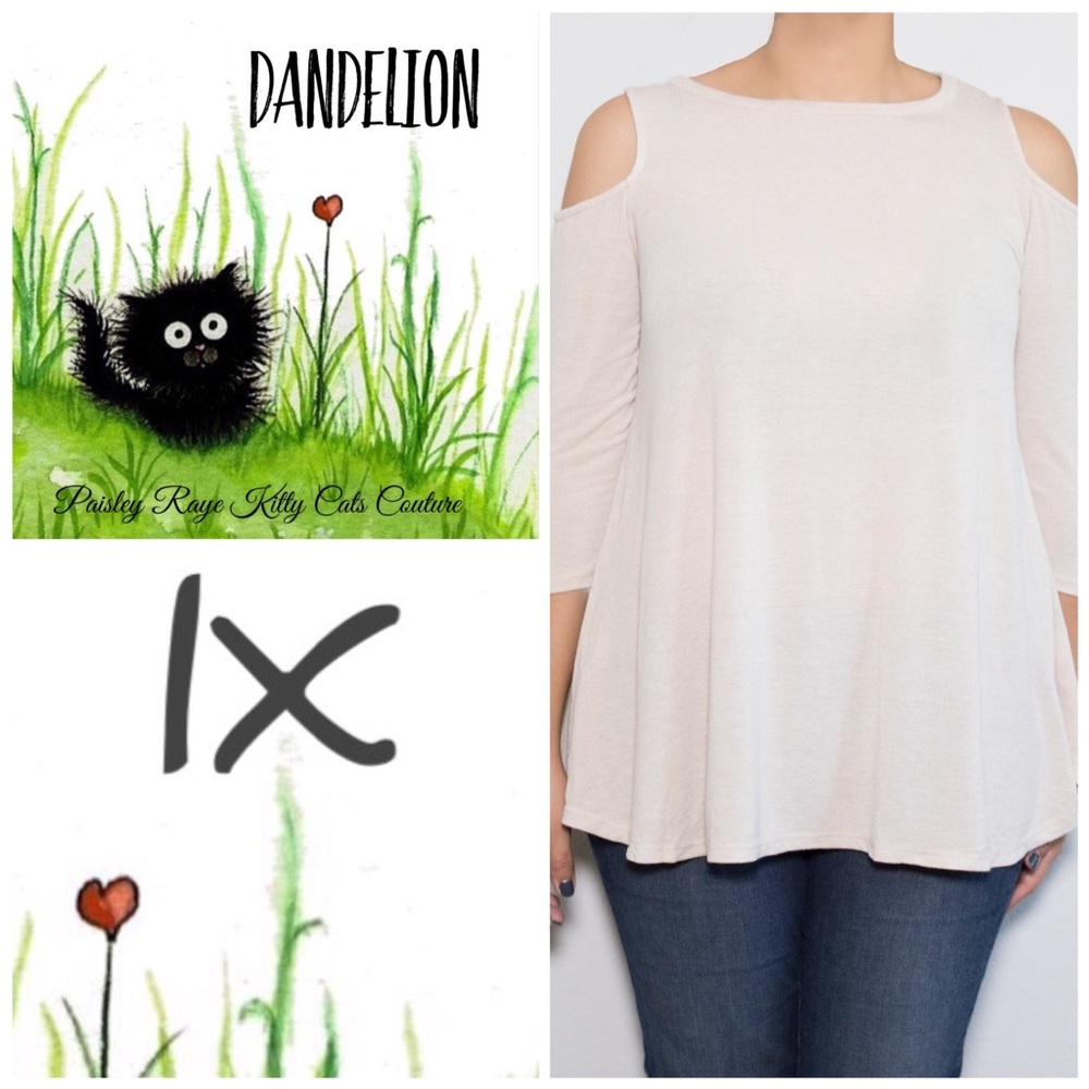 BNWT Cold Shoulder Swing Top with 3/4 sleeves
